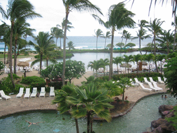 An overhead view of the pool